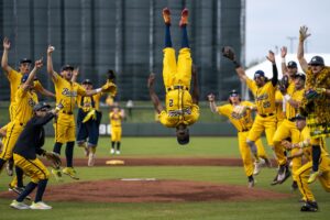  Savannah Bananas:Revolutionizing Baseball with Banana Ball